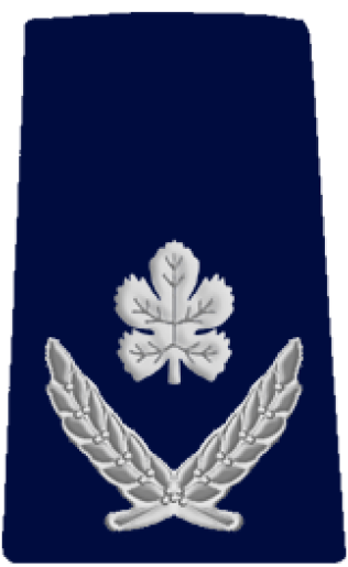 Nitzav