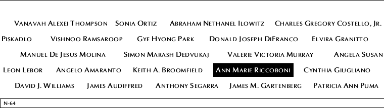 Panel N-64, North Pool, National September 11 Memorial