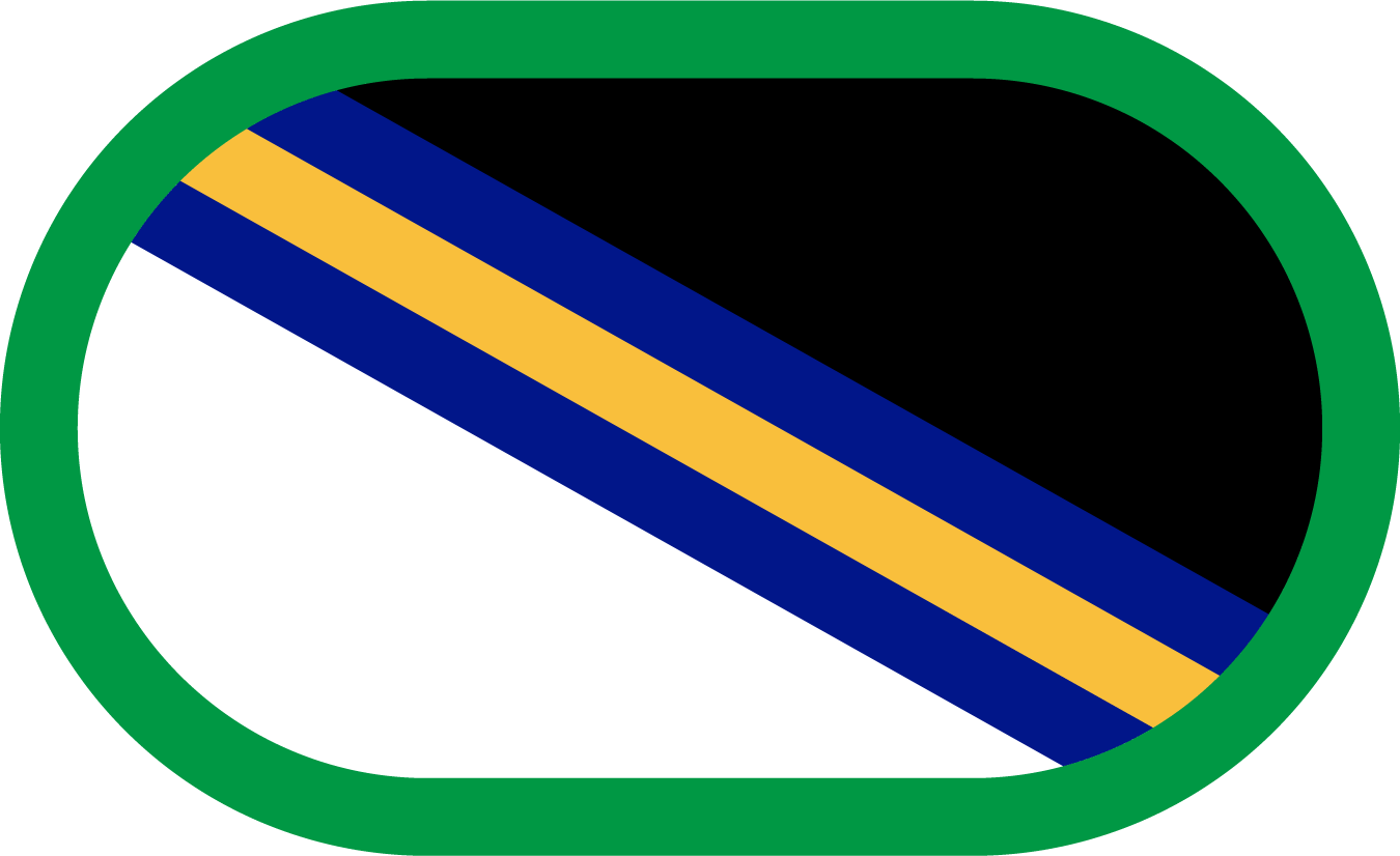 1ST BRIGADE COMBAT TEAM 11TH AIRBORNE DIVISION — Background trimming