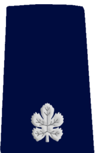 Rav Pakad
