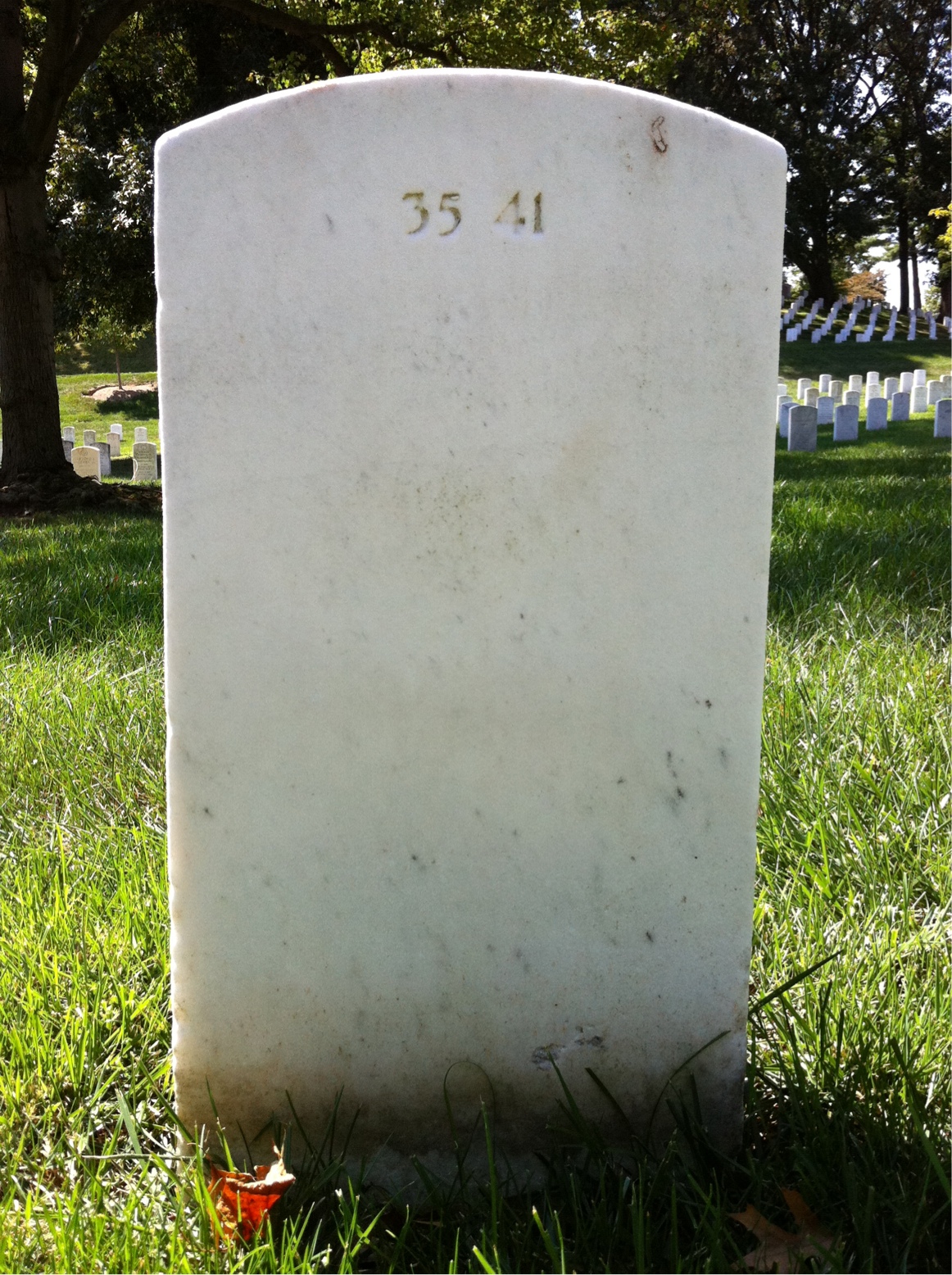Headstone of John David Musgrove