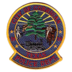 Agency patch