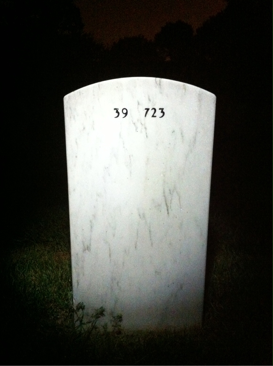 Headstone of Renzie E Palmer