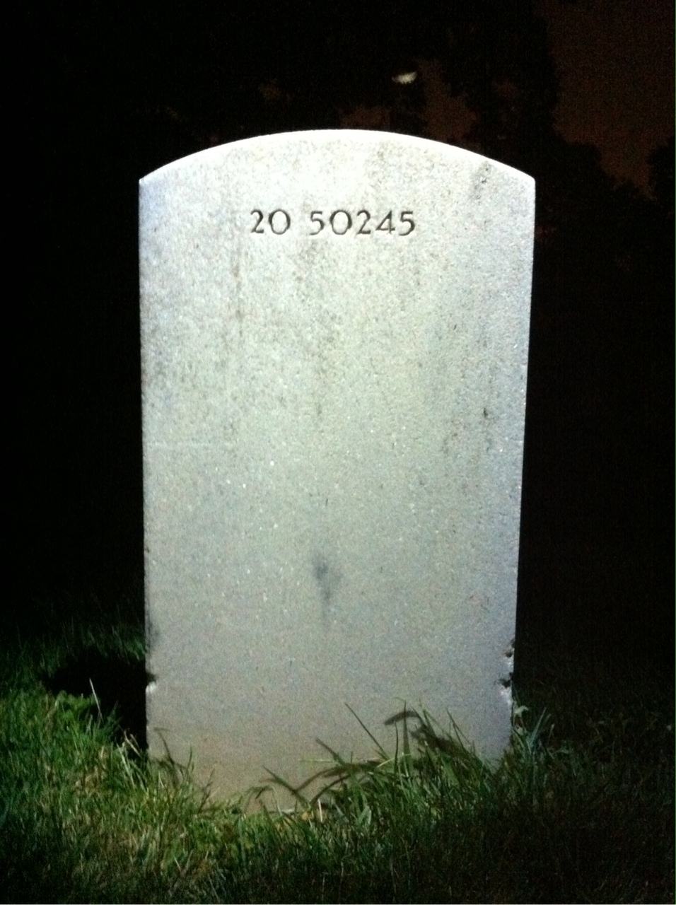 Headstone of Dolores D Watts