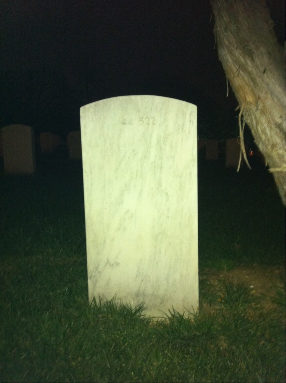 Headstone of Louise B Carter