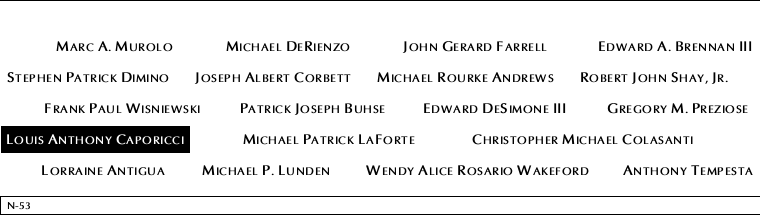 Panel N-53, North Pool, National September 11 Memorial