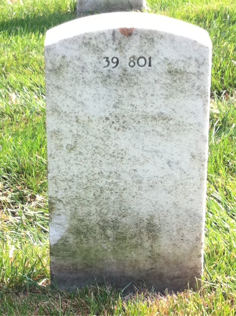 Headstone of Ammon L Miller