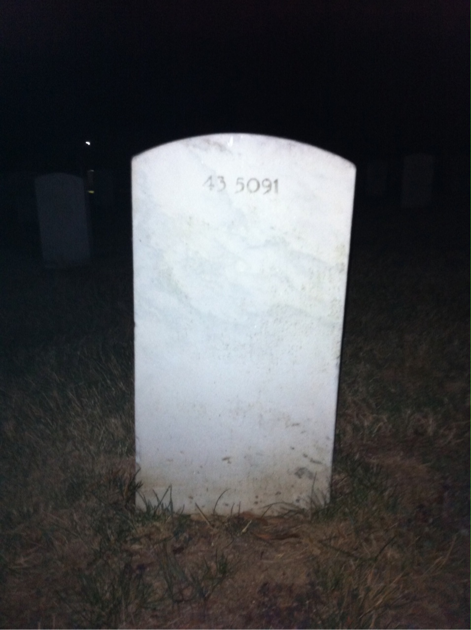 Headstone of Nathan Levine