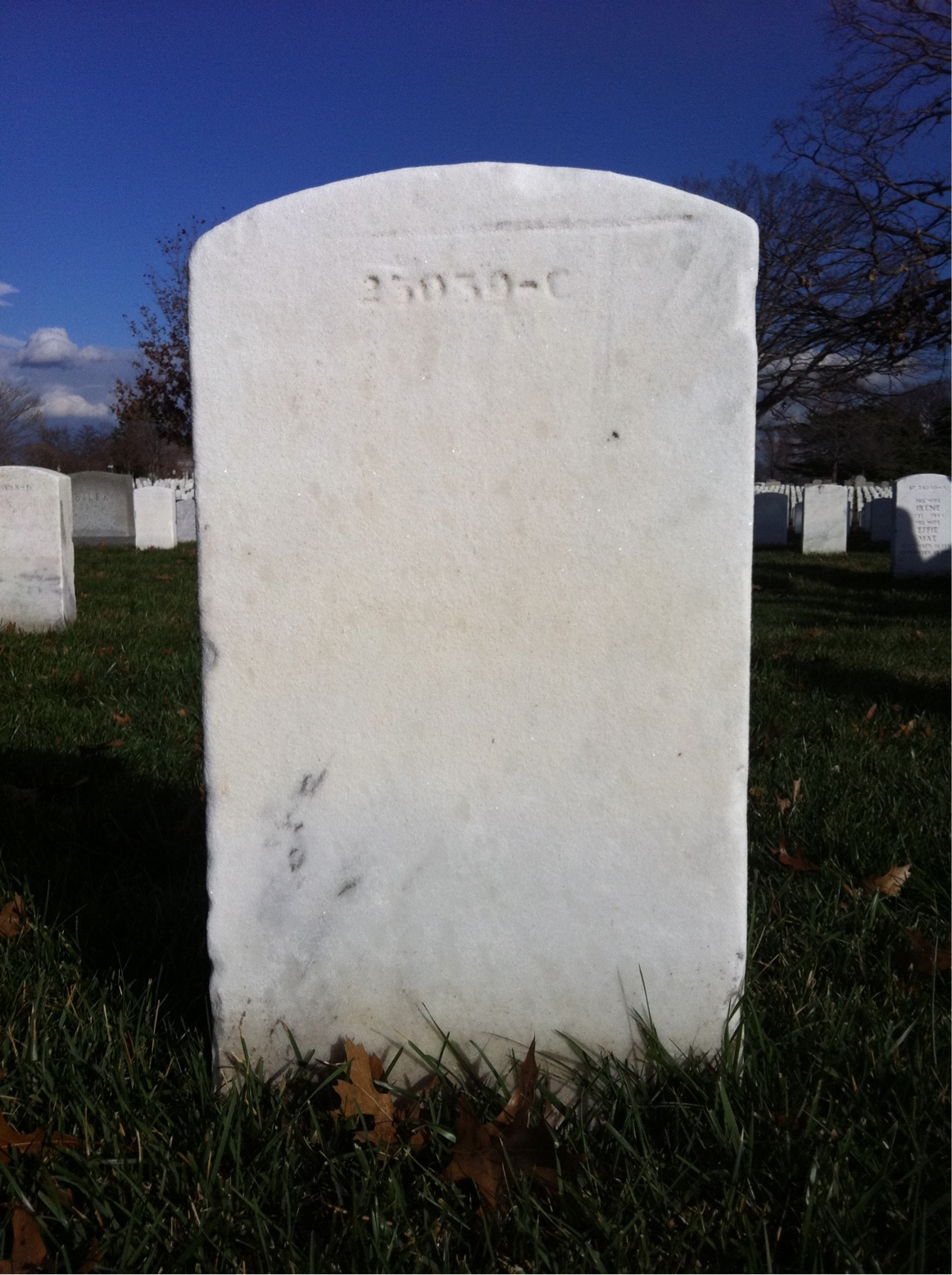 Headstone of Wallis D Wilson