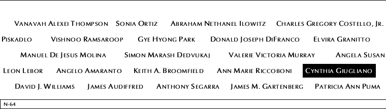 Panel N-64, North Pool, National September 11 Memorial