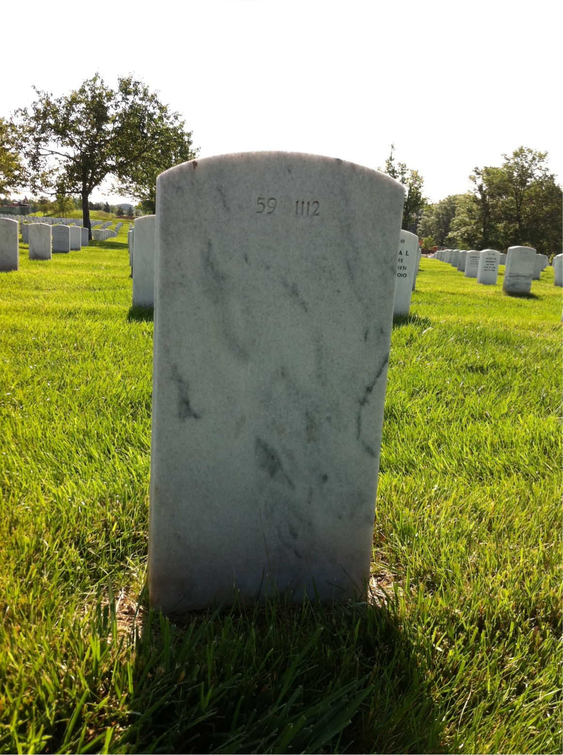 Headstone of Calvin H Sakis