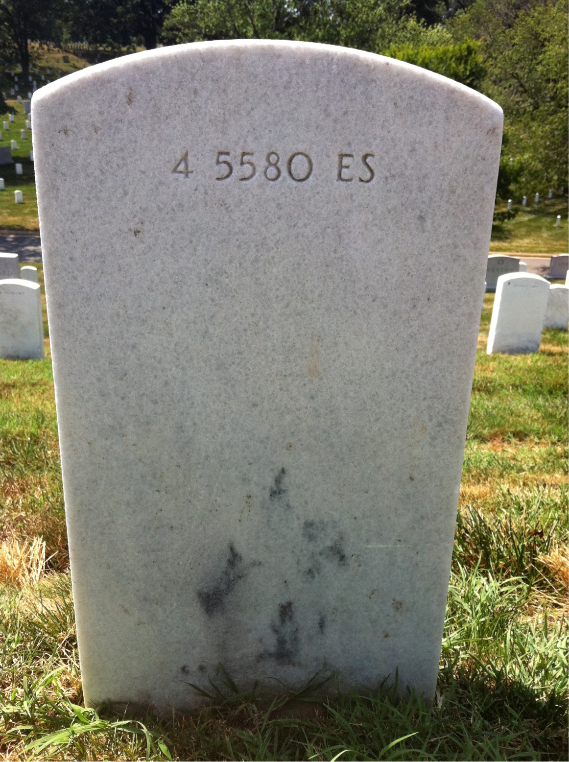Headstone of John McCann