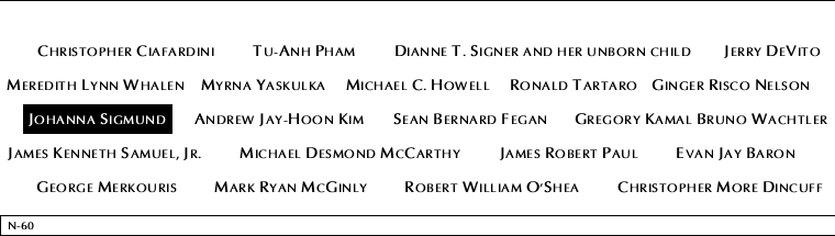 Panel N-60, North Pool, National September 11 Memorial