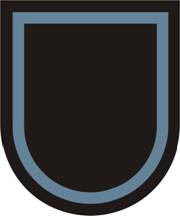 Special Troops Battalion, 173rd Airborne Brigade Combat Team — Beret flash