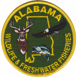 Agency patch