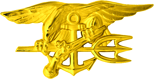 Special Warfare Insignia