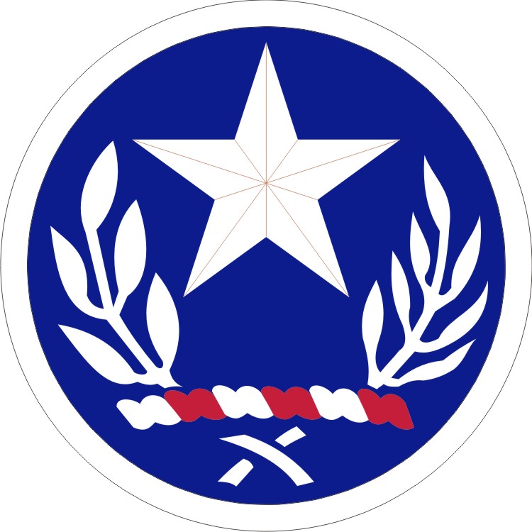 Texas Army National Guard Element, Joint Force Headquarters - Shoulder Sleeve Insignia