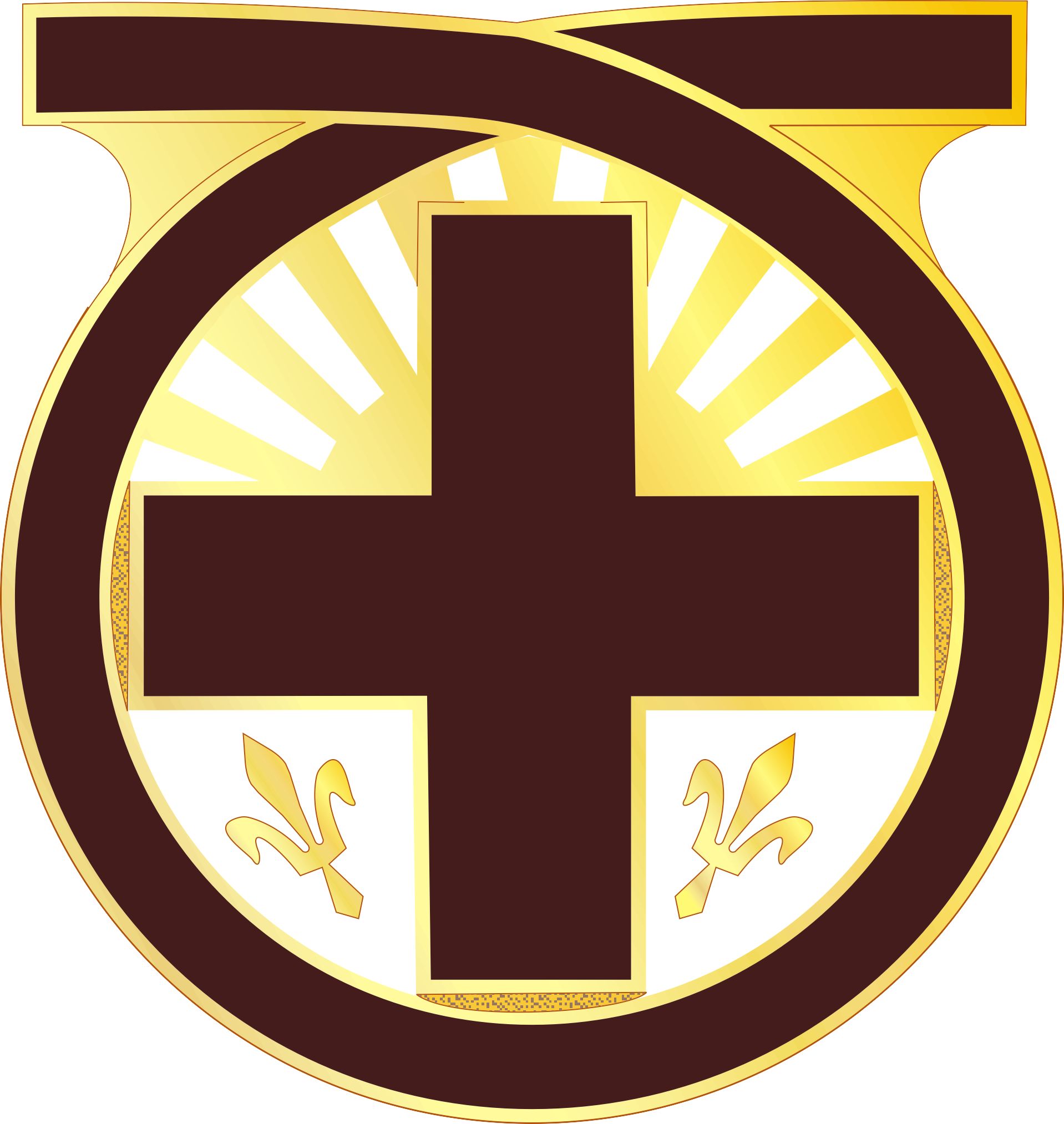 24TH EVACUATION HOSPITAL - Distinctive Unit Insignia