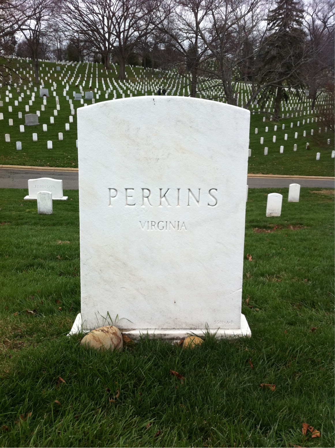 Headstone of Lewis B Perkins