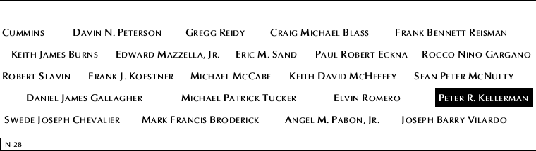 Panel N-28, North Pool, National September 11 Memorial