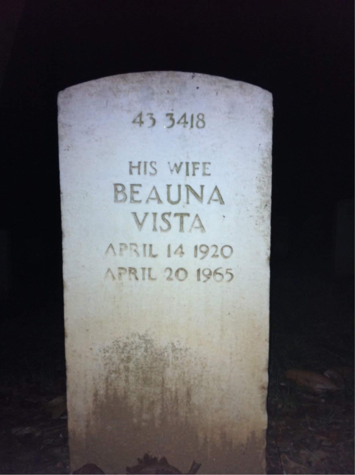 Headstone shared by 2 interments, including James A Webb