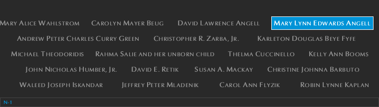Panel N-1, North Pool, National September 11 Memorial