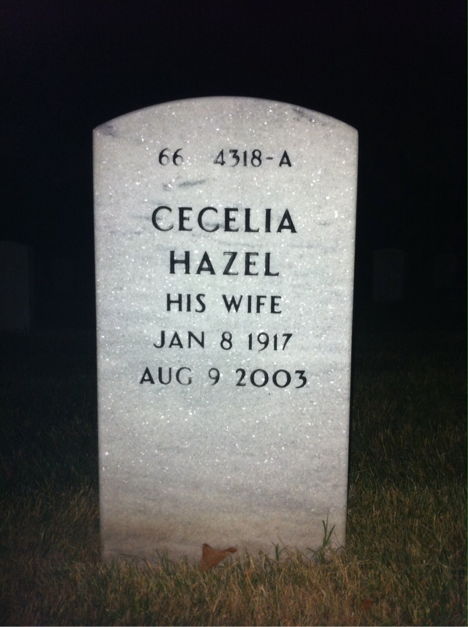Headstone shared by 2 interments, including John L O'Brien