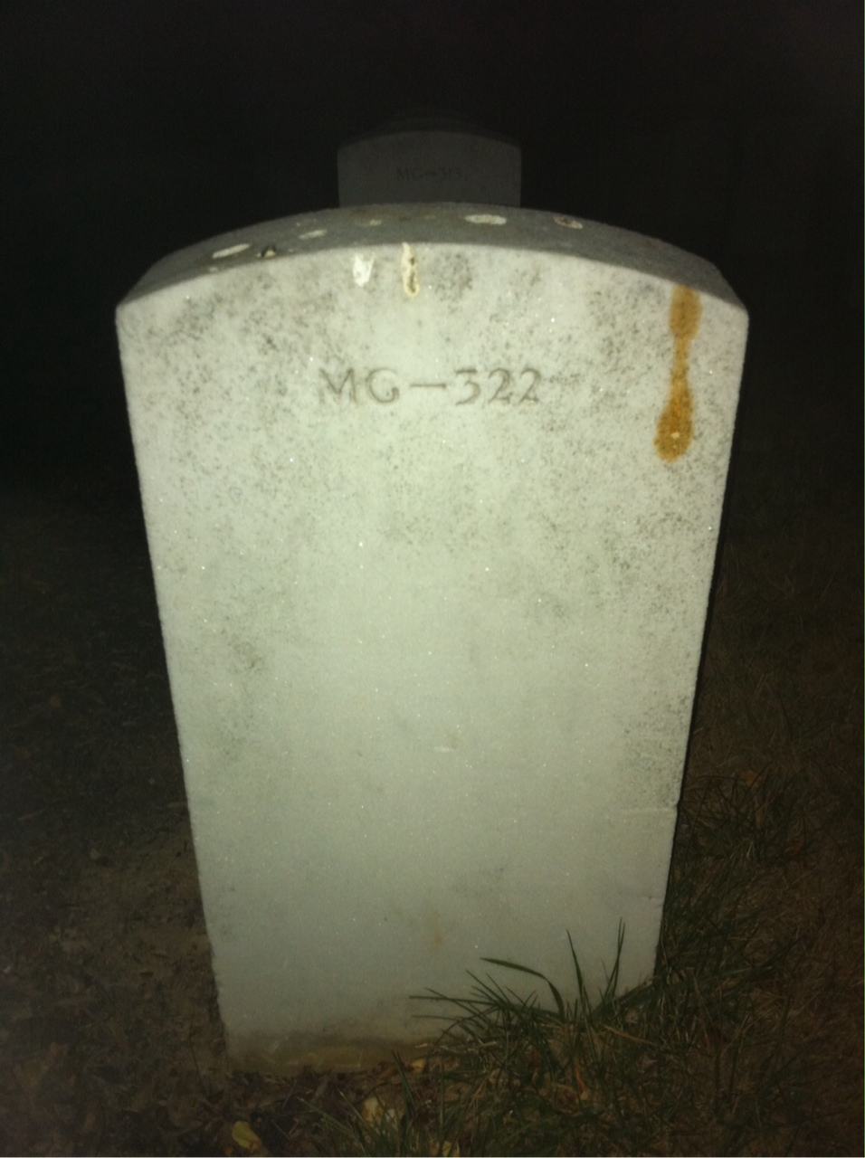 Headstone of Carey Allen Cunningham