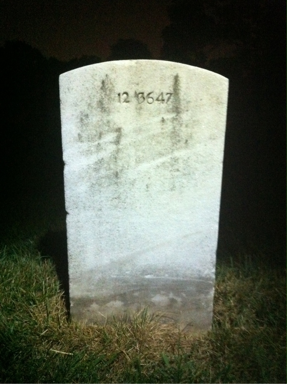 Headstone of Alfred E Spiegel