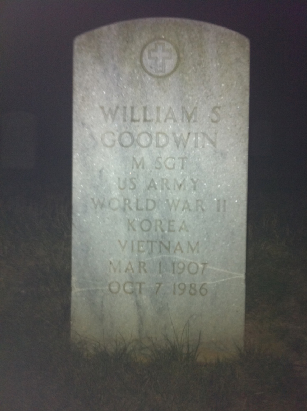 Headstone of William S Goodwin