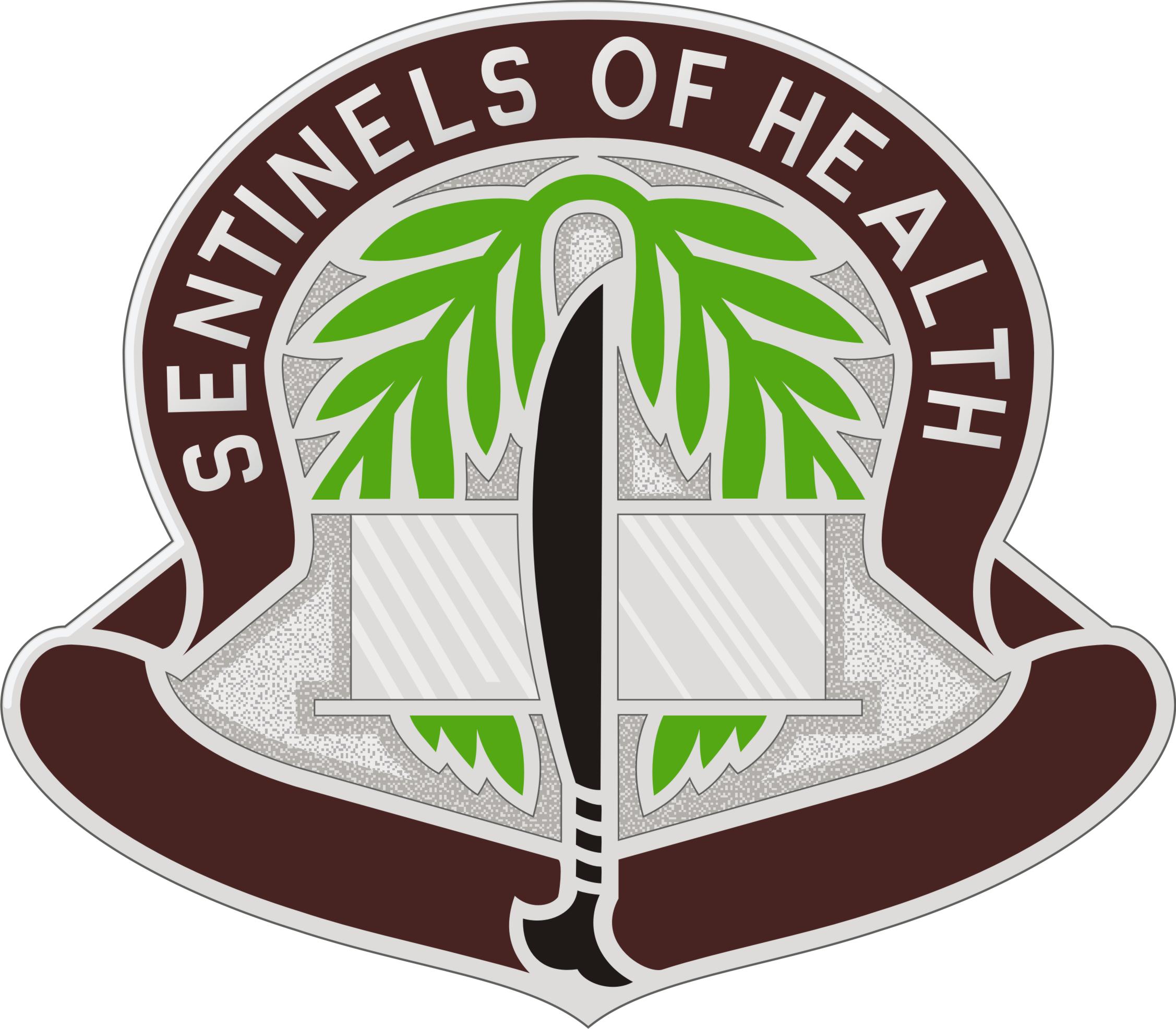 17TH FIELD HOSPITAL - Distinctive Unit Insignia