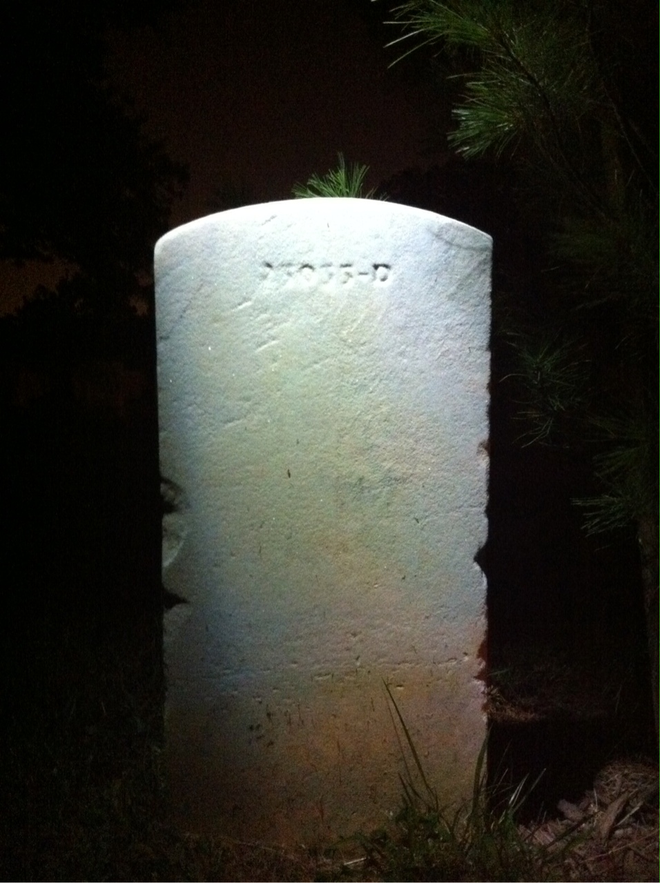 Headstone of William E Rhea