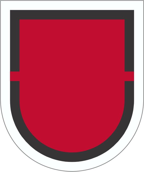 919TH ENGINEER COMPANY — Beret flash