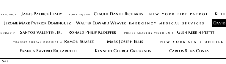 Panel S-25, South Pool, National September 11 Memorial