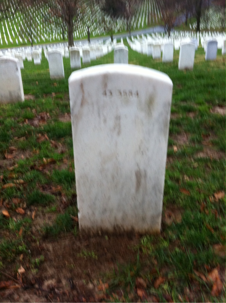 Headstone of Elsie R Iuliano