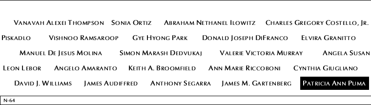 Panel N-64, North Pool, National September 11 Memorial