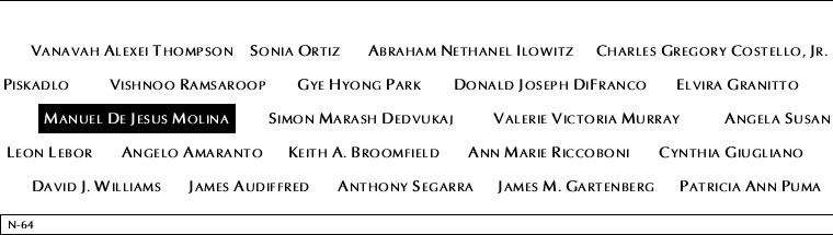 Panel N-64, North Pool, National September 11 Memorial