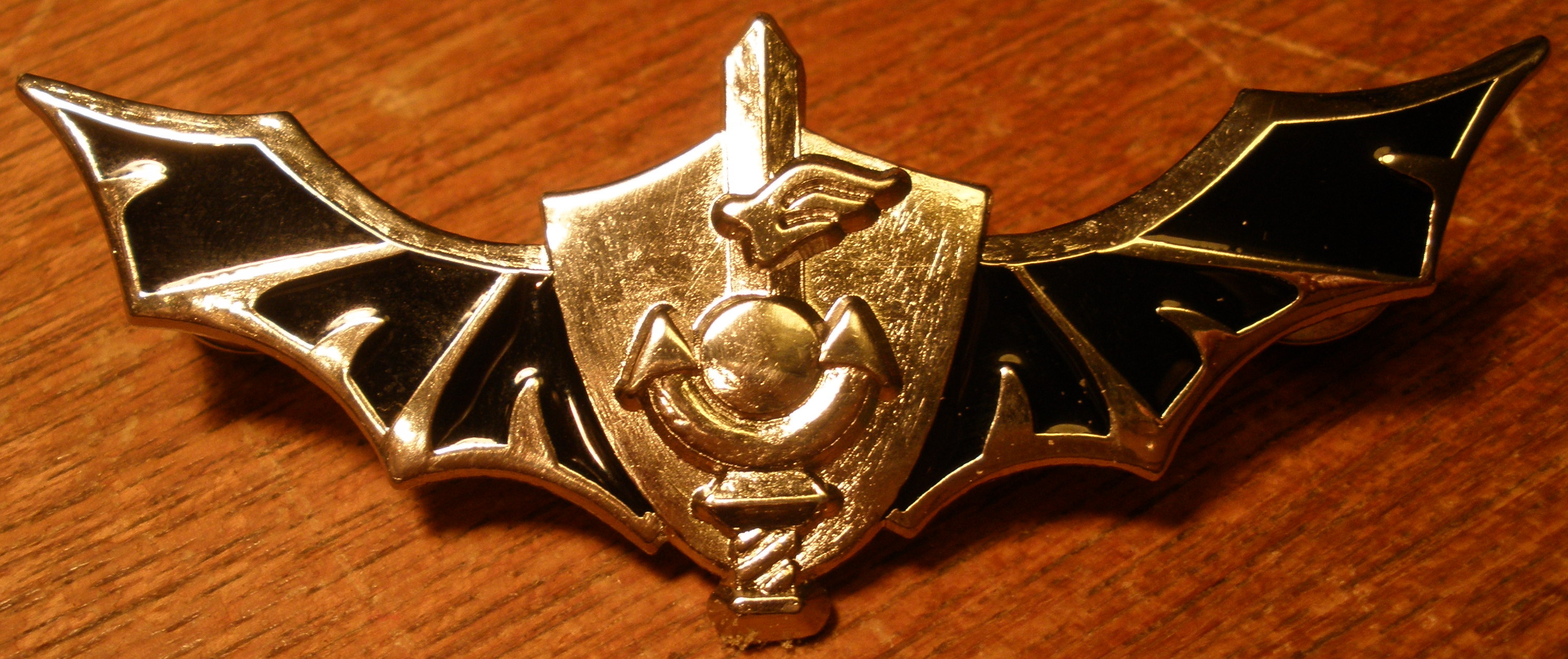 Shayetet 13 insignia
