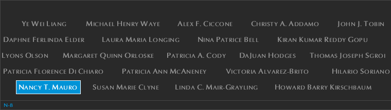 Panel N-8, North Pool, National September 11 Memorial