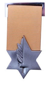 Medal of Valor