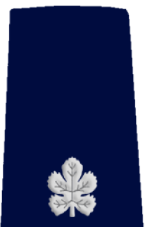 Rav Pakad