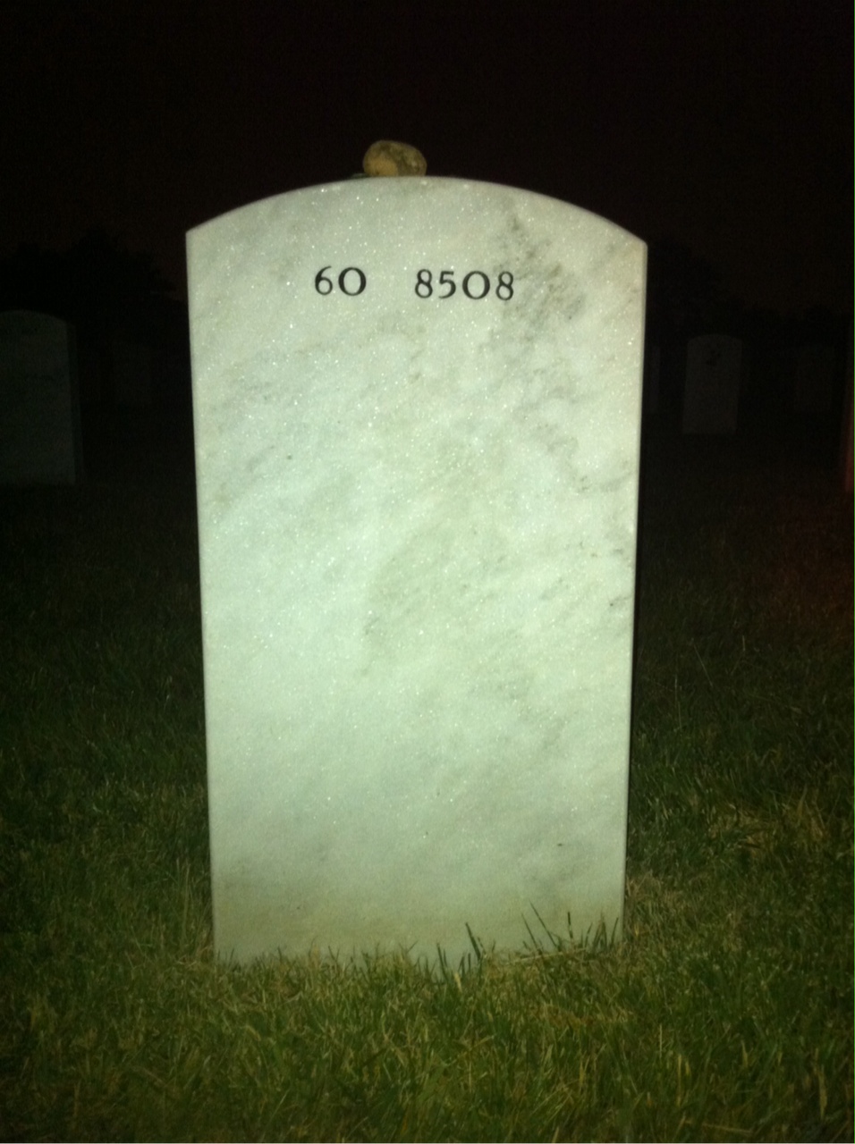 Headstone of Wilson Andrew Algrim
