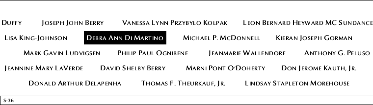 Panel S-36, South Pool, National September 11 Memorial