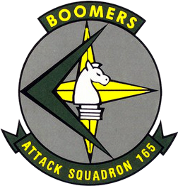 Attack Squadron 165 - Insignia