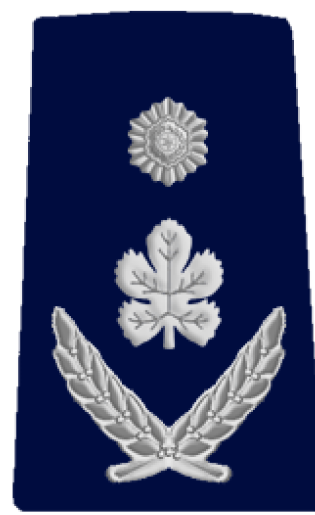 Rav Nitzav Rav Nitzav