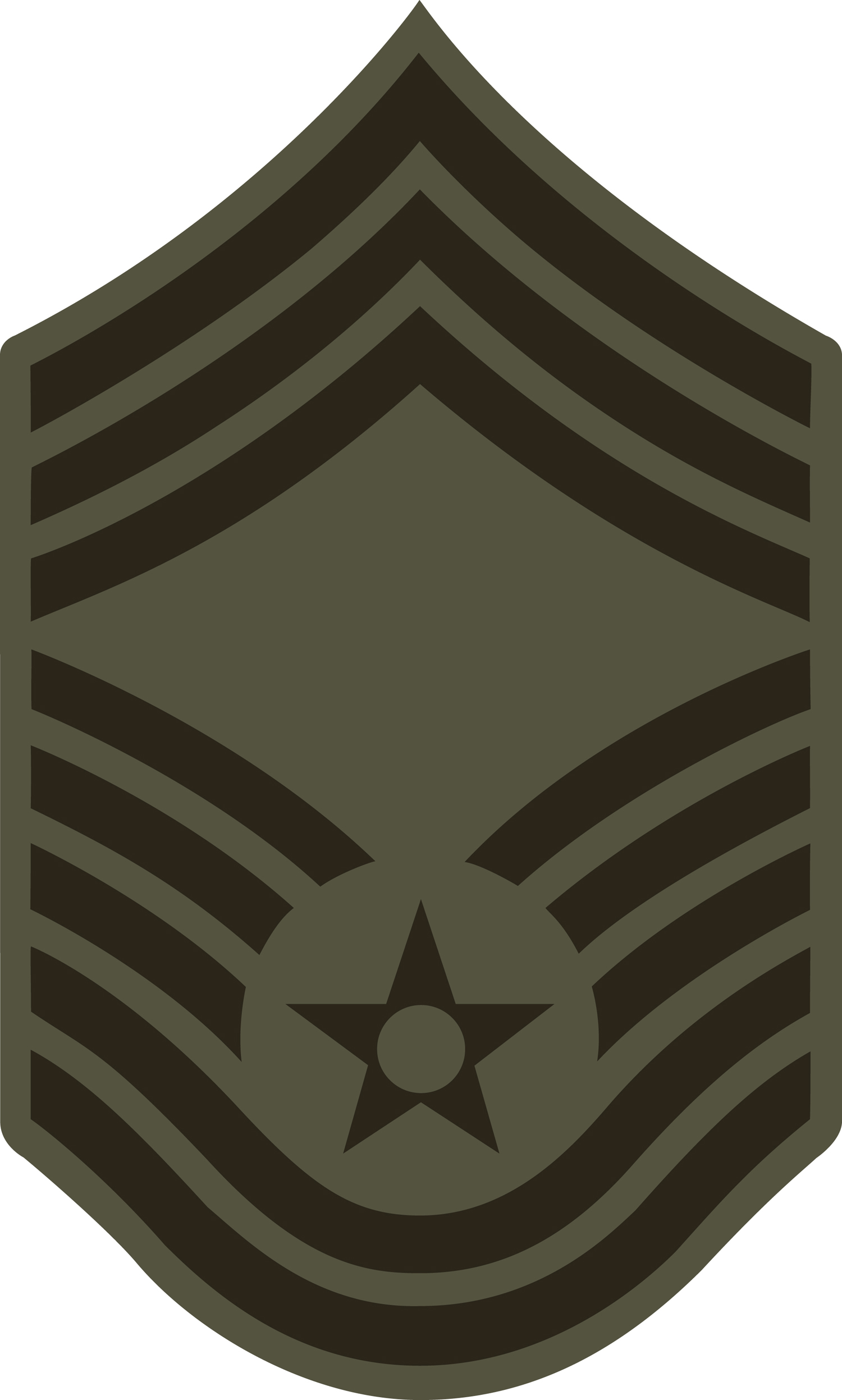 Chief Master Sergeant