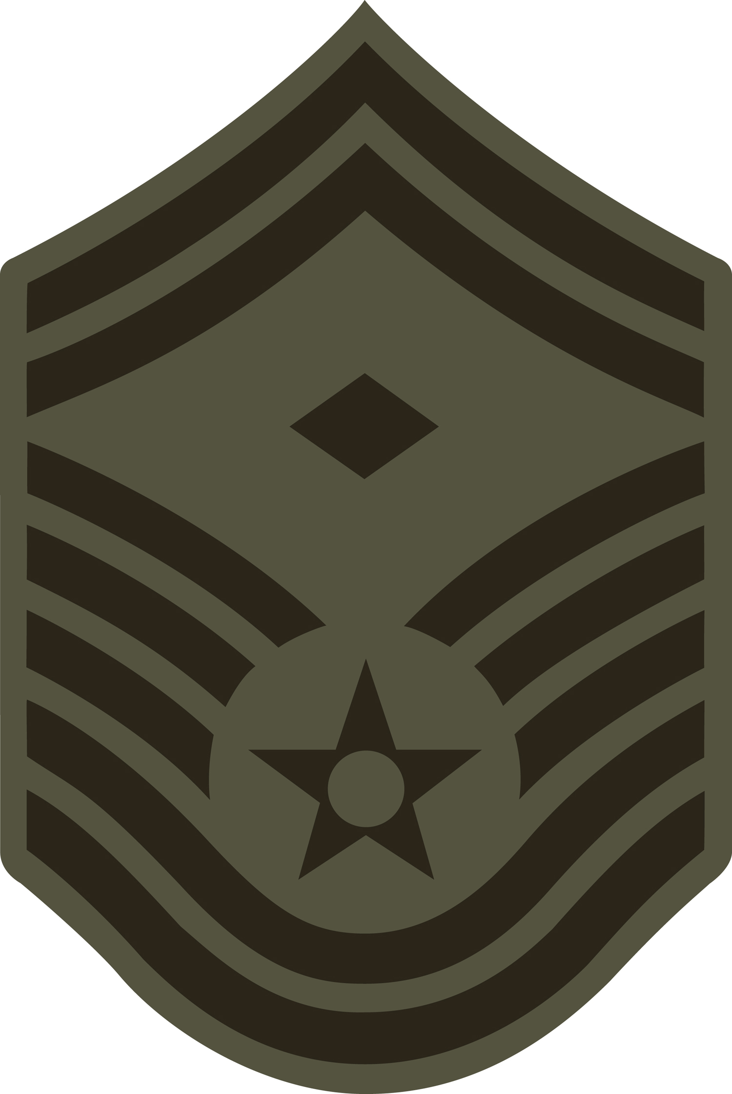 Senior Master Sergeant Senior Master Sergeant