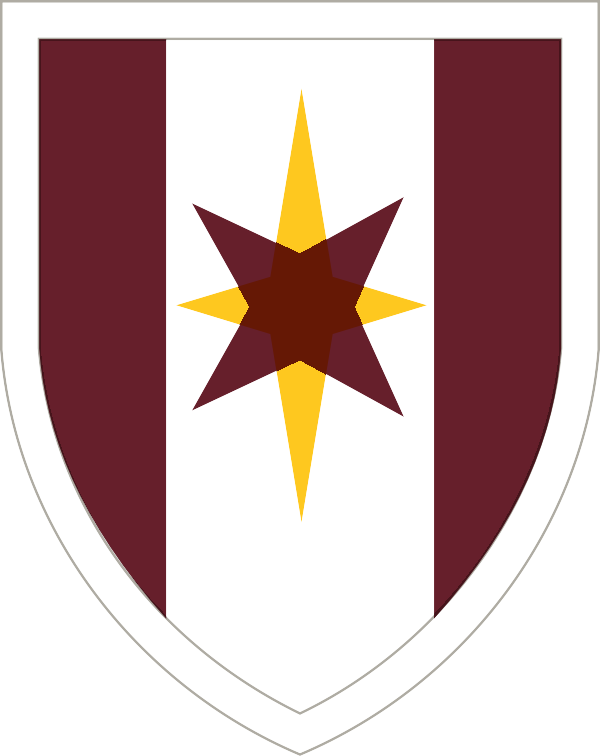 44 Medical Brigade - Shoulder Sleeve Insignia