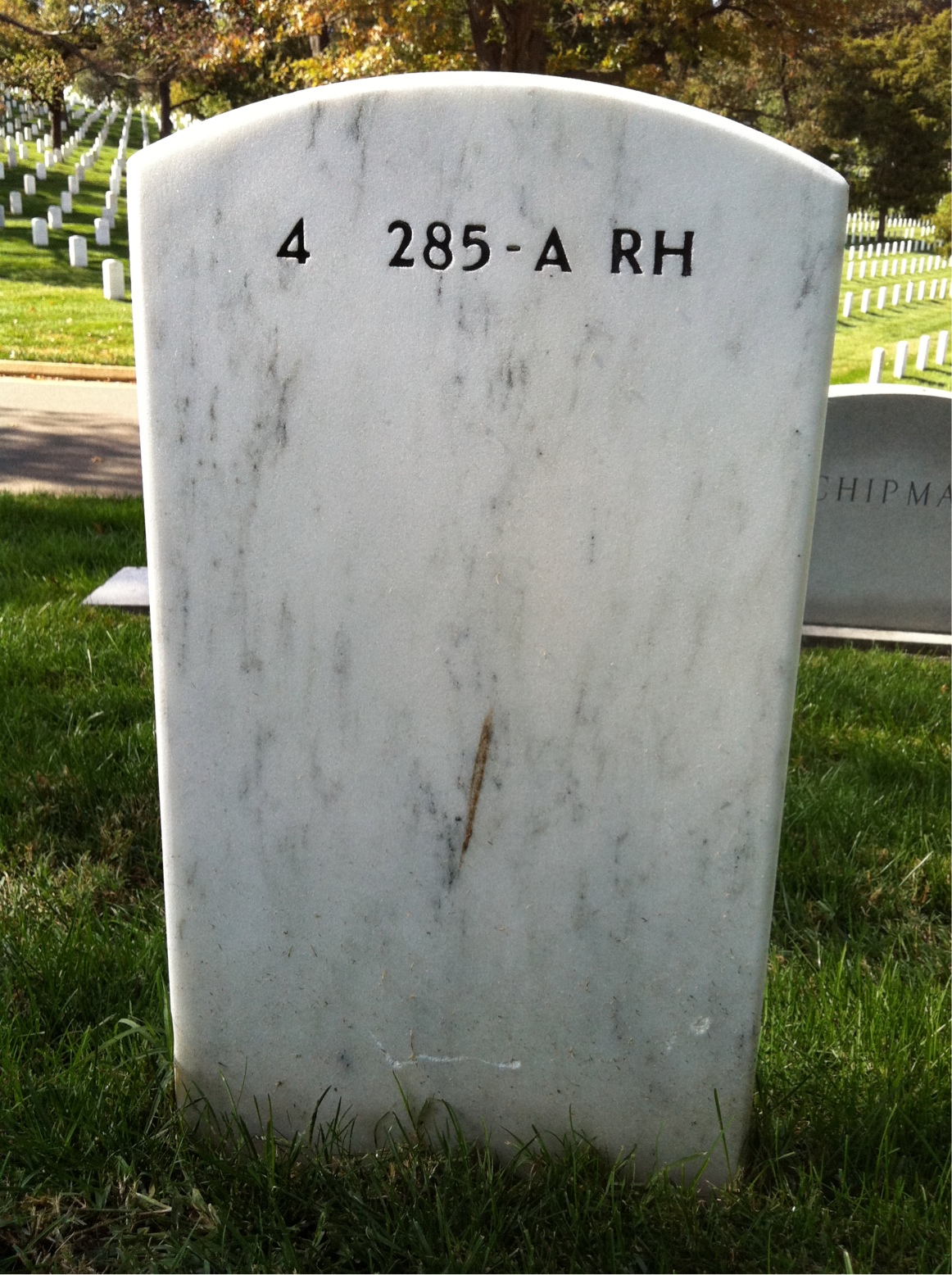 Headstone of Alfred M Wilson