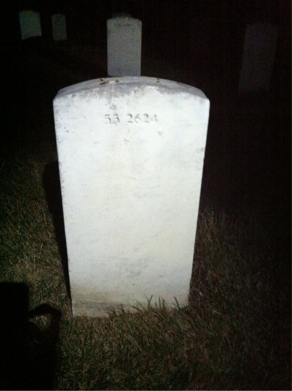 Headstone of Leo J Werner